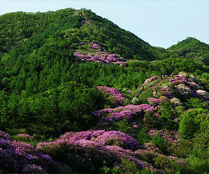 Namwon|Baekdudaegan Mountain Range Ecotourism Belt