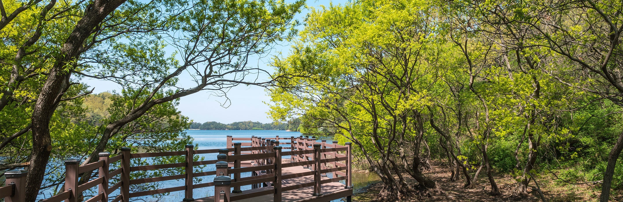 Wandering in Nature,<br>Meet Jeollabuk-do
