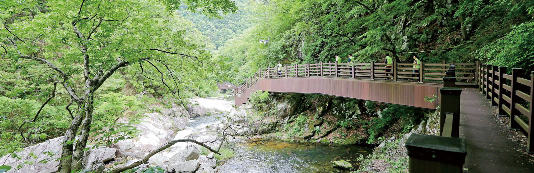 Wandering in Nature,<br>Meet Jeollabuk-do
