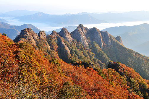 이미지명
