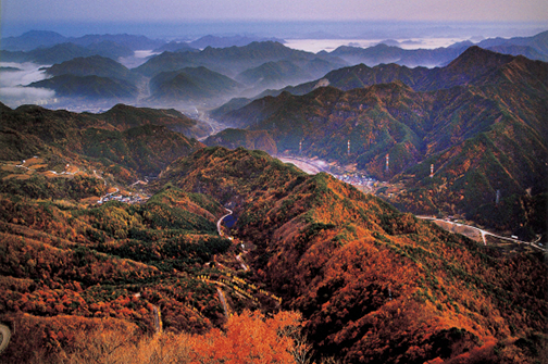 이미지명