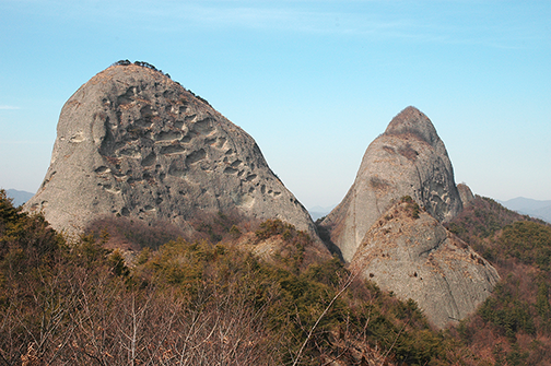 이미지명
